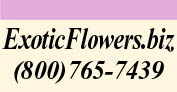 ExoticFlowers.biz - Your Teleflora Florist